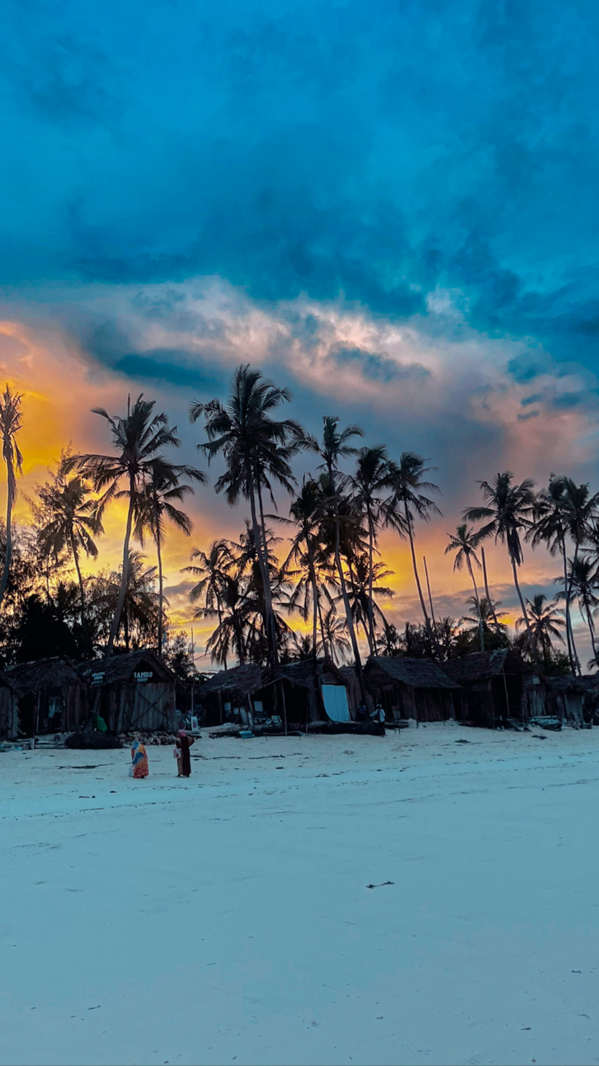 Palm trees at sunset on the beach in Zanzibar
