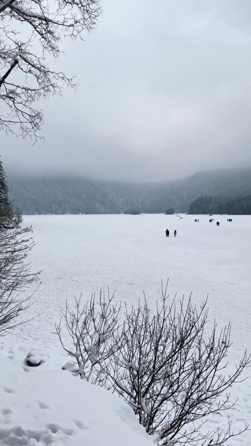 Frozen Eibsee Lake in winter with snowy forest behind