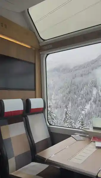 Panoramic Glacier Express carriage overlooking snowy Swiss forest, photographed by Libby
