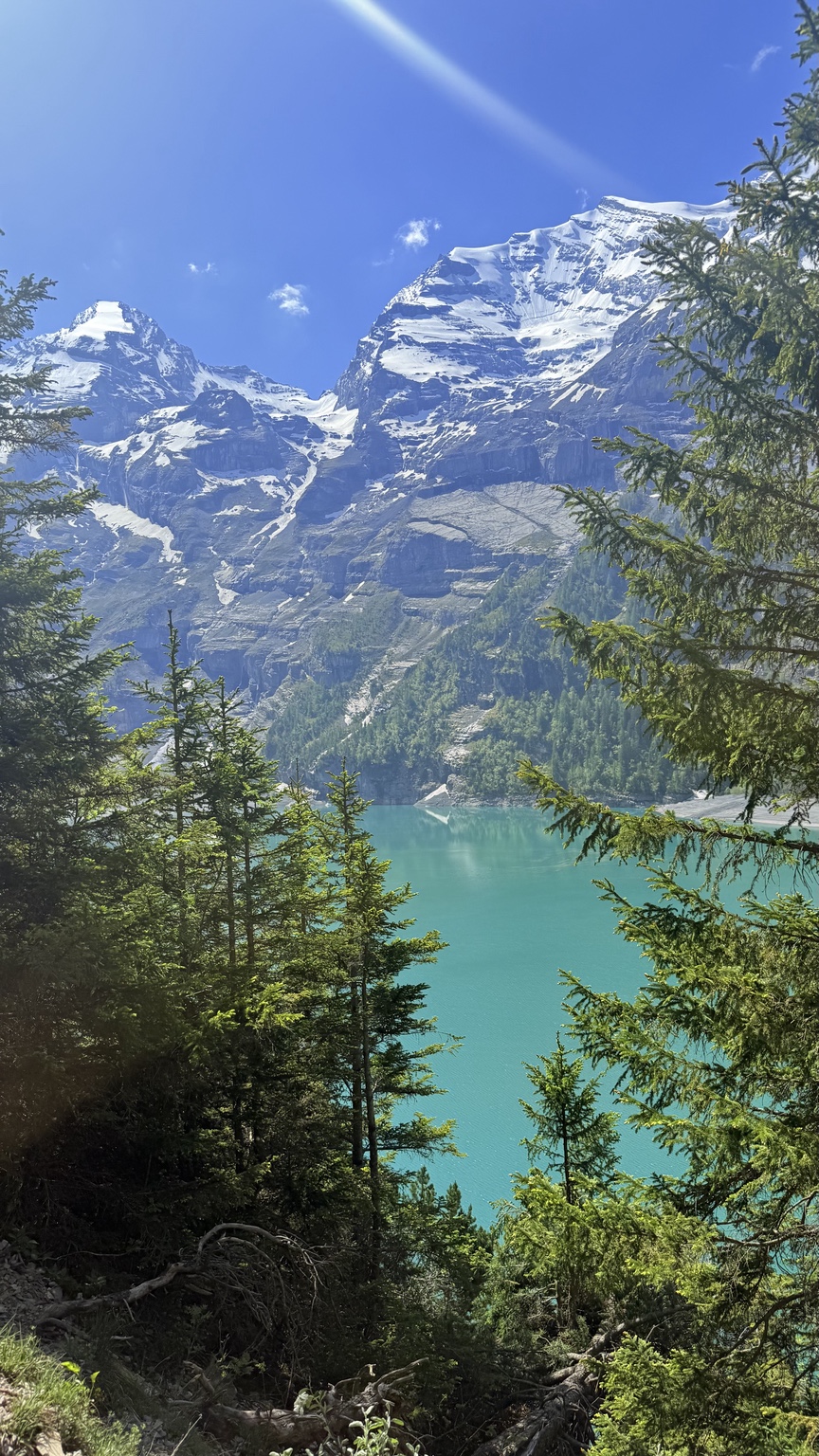 Snowy mountain peaks and turquoise Oeschinensee framed by pine trees