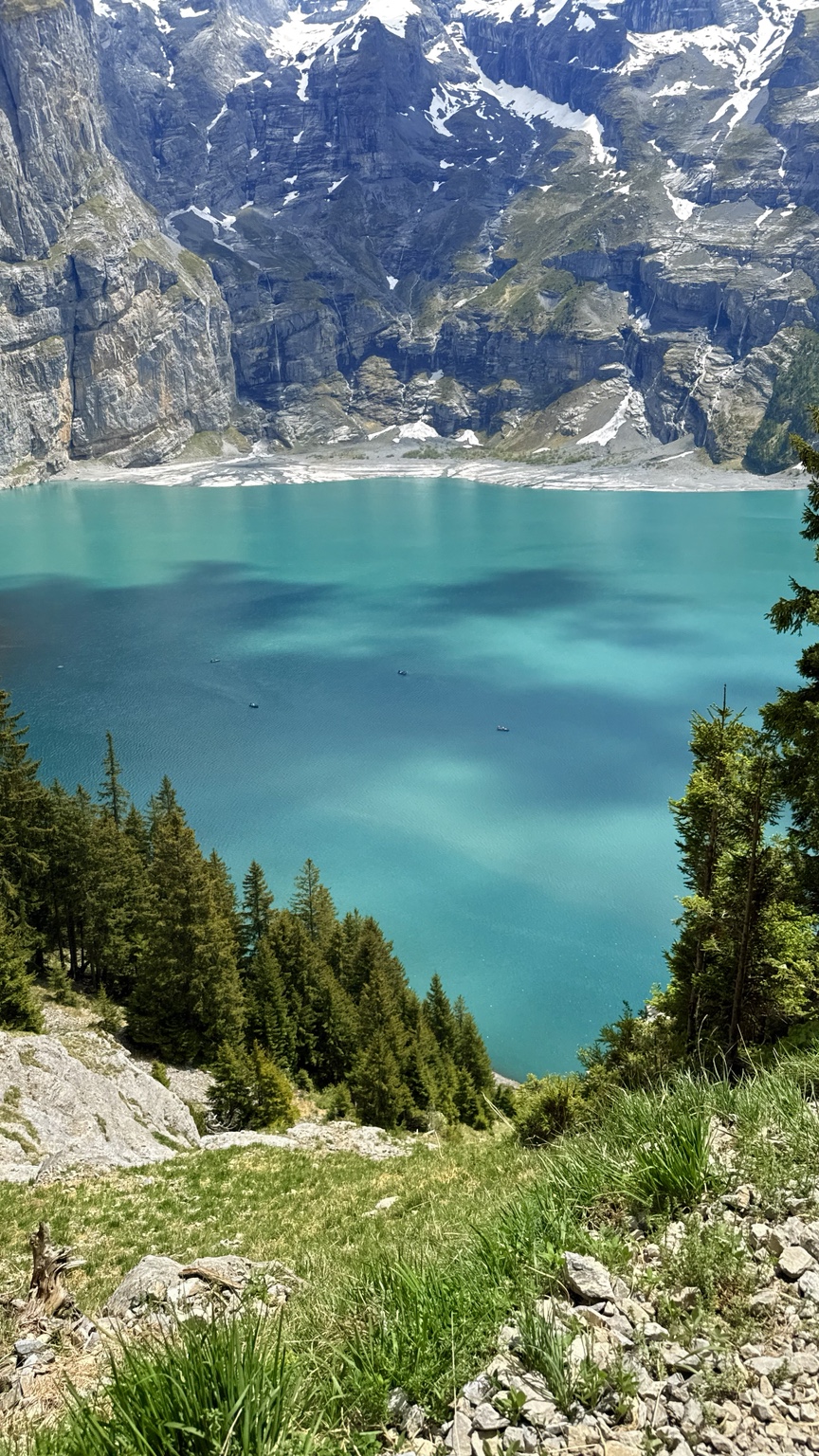 Oeschinensee below the mountains with a flower-filled trail in the foreground
