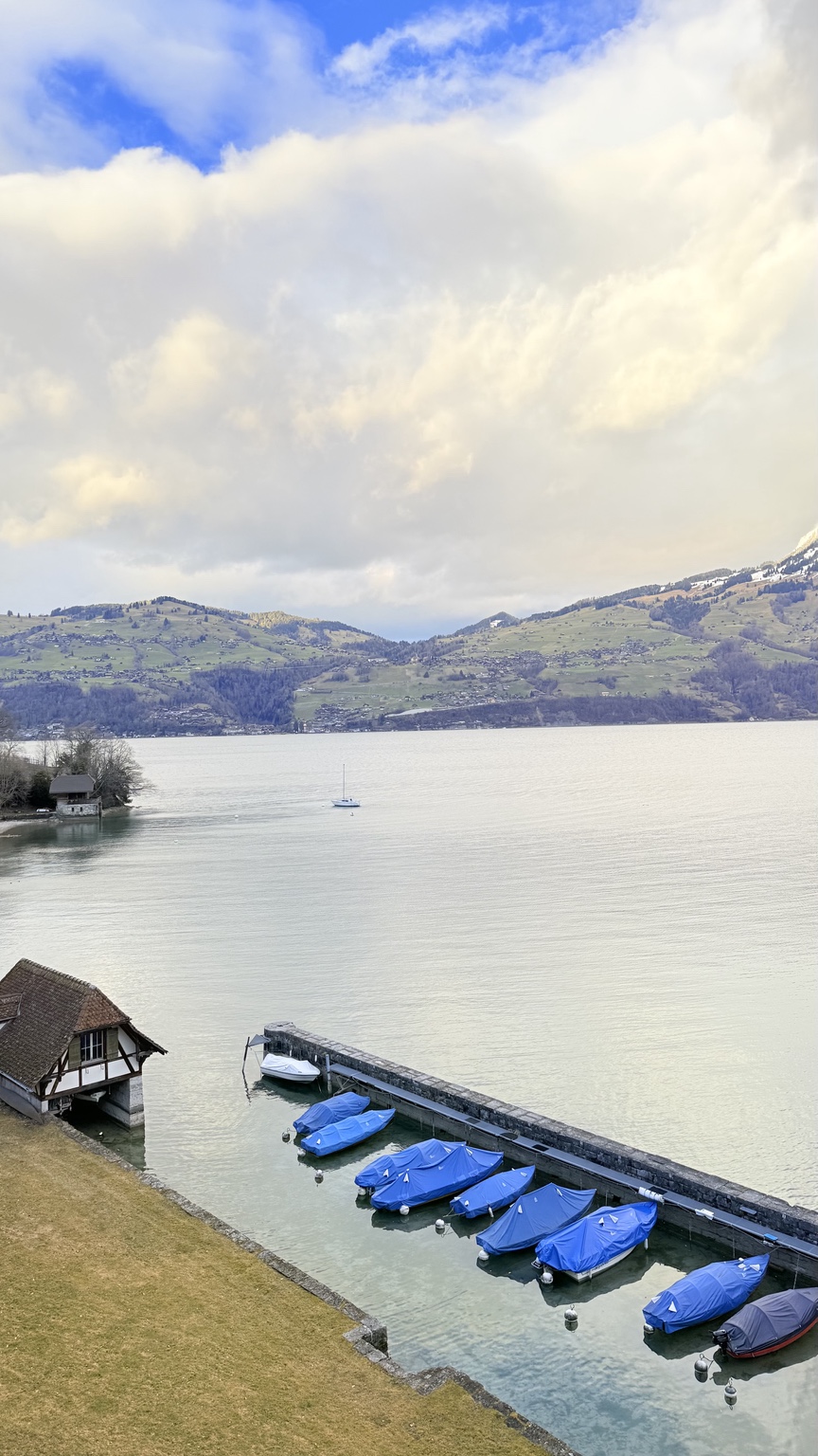 Lake Thun viewed from Spiez, photographed by Libby